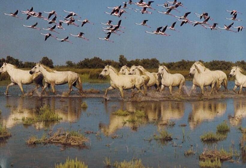 テラス付きスタンダードルーム, La Joliette