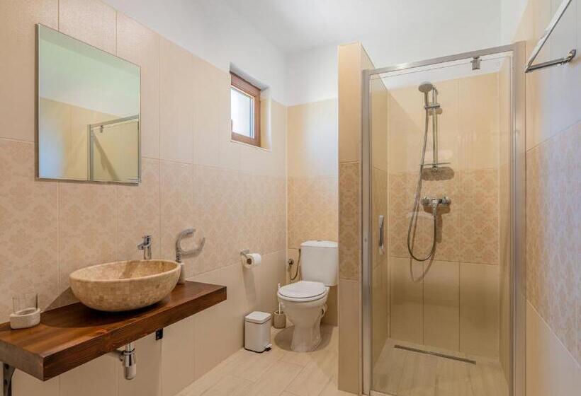 Номер Стандарт, Casa Saraste