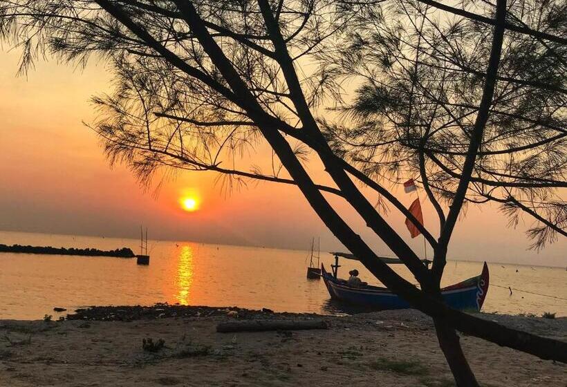 带花园景观的标准洋房, Seabirds Bed And Breakfast