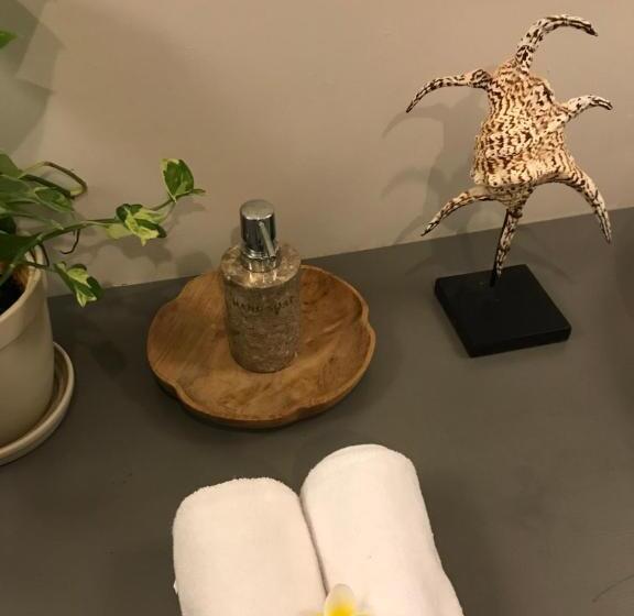 带花园景观的标准洋房, Seabirds Bed And Breakfast