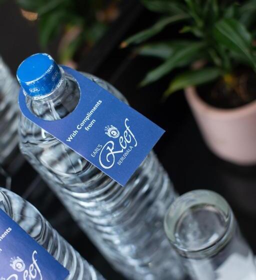 바다 전망 스위트, Earl S Reef