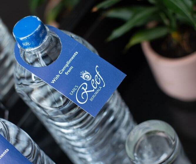 바다 전망 스위트, Earl S Reef