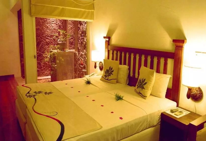 Superior Room with Terrace, Siddhalepa Ayurveda Resort All Meals Ayurveda Treatment And Yoga