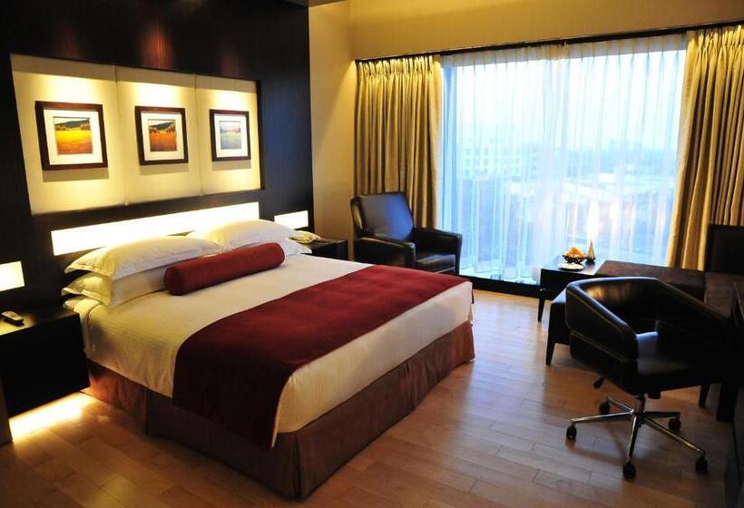 클럽 룸 킹침대, The Oterra