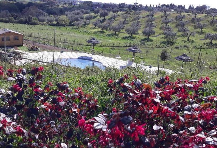 1ベッドルームハウス, Angolo Di Paradiso