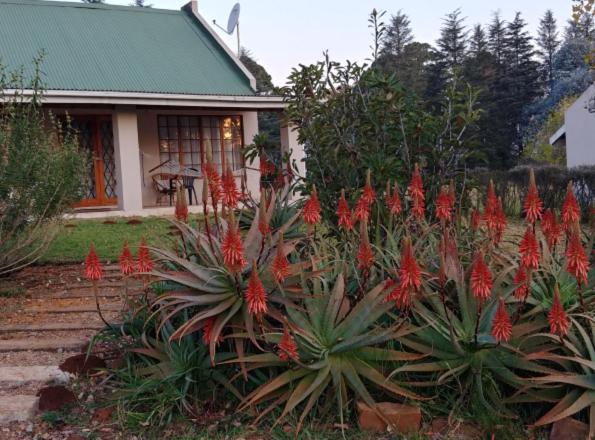 בקתת חדר, Wild Hare Cottages