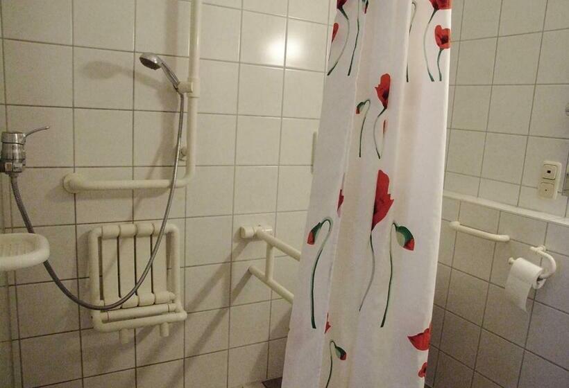 Апартаменты 1 Спальня Нижний Этаж, Sporerhof