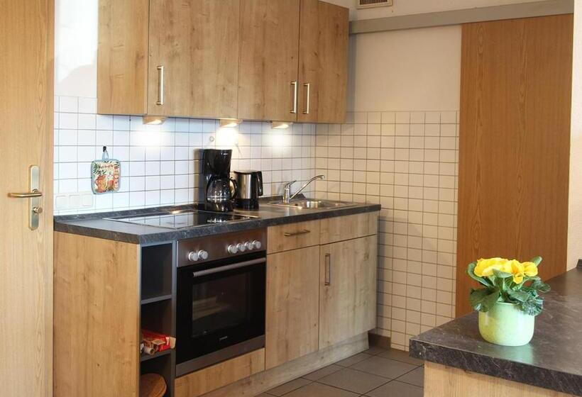 Апартаменты 1 Спальня Нижний Этаж, Sporerhof