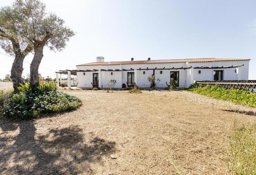 Номер Стандарт, Agroturismo Flores Do Campo