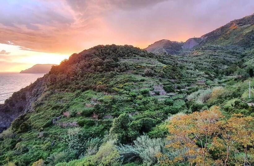 اتاق لوکس با چشمانداز دریا, Arbanella