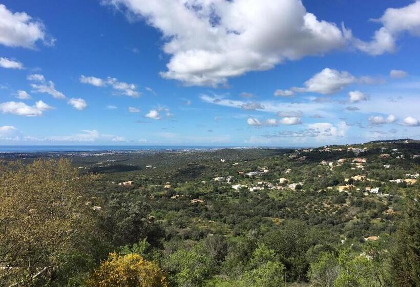 스탠다드 룸 바다 전망, Felicidade