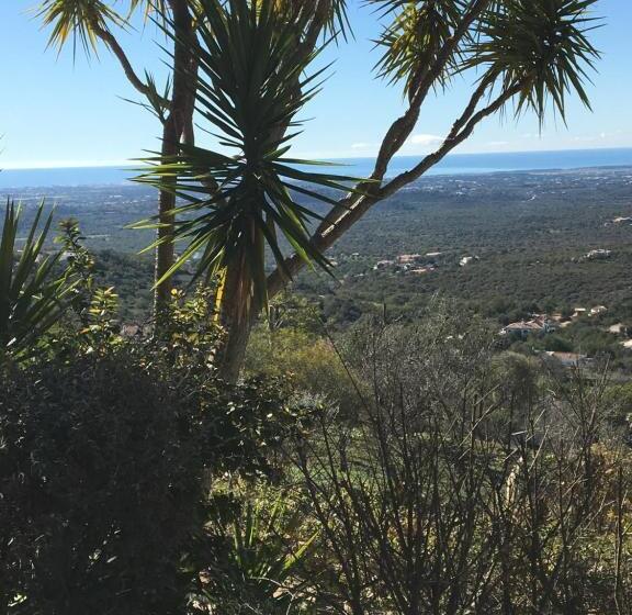 스탠다드 룸 가든 전망, Felicidade