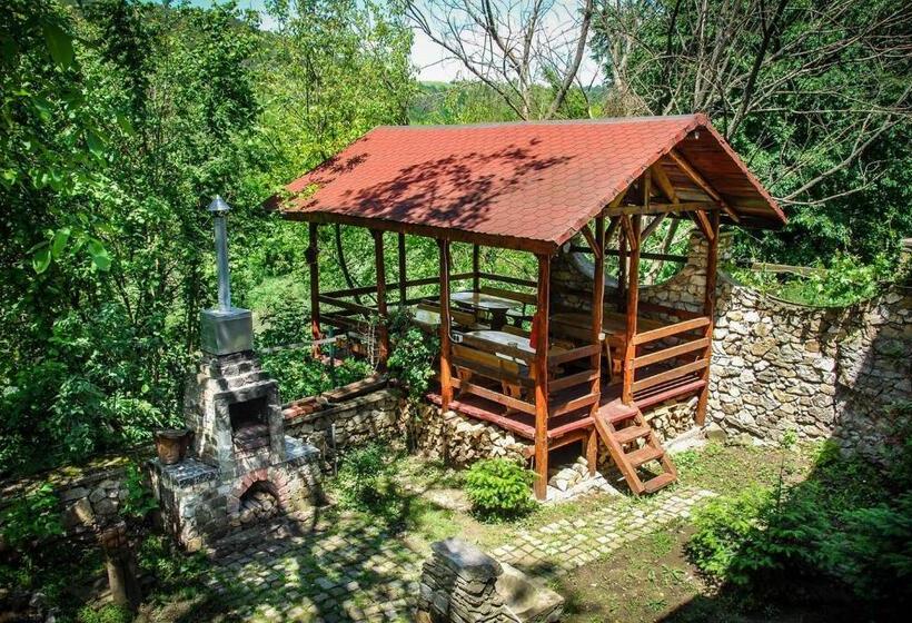 豪华房间, Pensiunea Dora Sasca