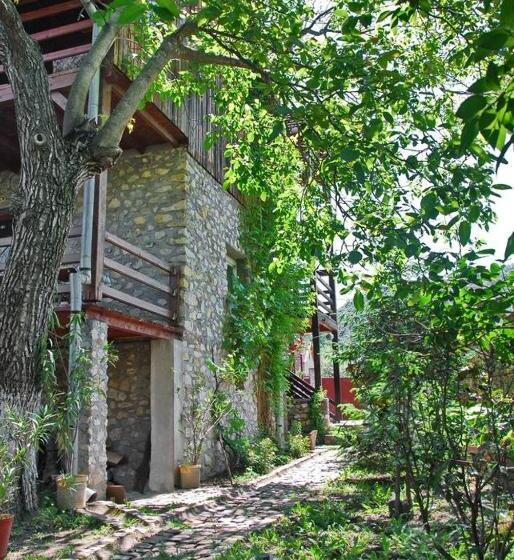 经典四人房间, Pensiunea Dora Sasca