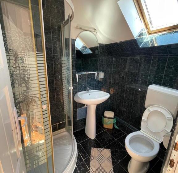 经典四人房间, Pensiunea Dora Sasca