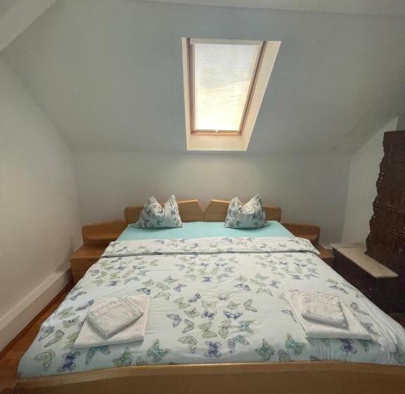 带1个卧室的带阳台的公寓, Pensiunea Dora Sasca