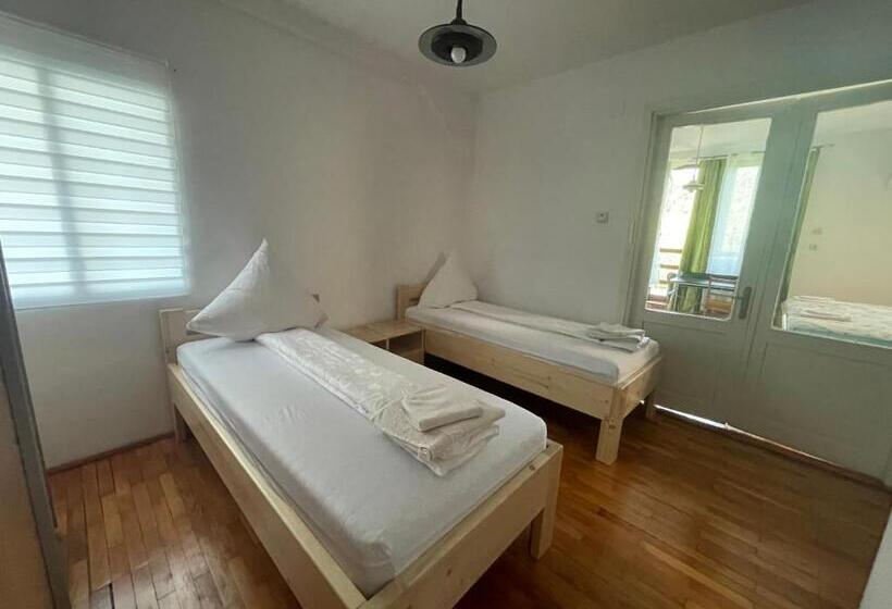 带1个卧室的带阳台的公寓, Pensiunea Dora Sasca