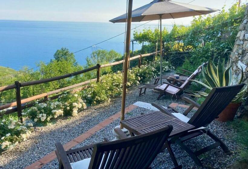 آپارتمان 1 خوابه با تراس, Villa Pietrafiore