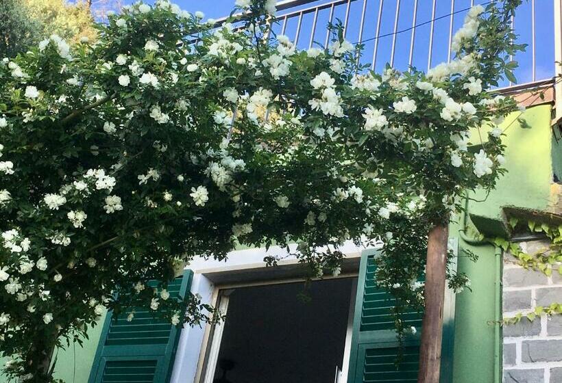 اتاق استاندارد با چشمانداز دریا, Villa Pietrafiore