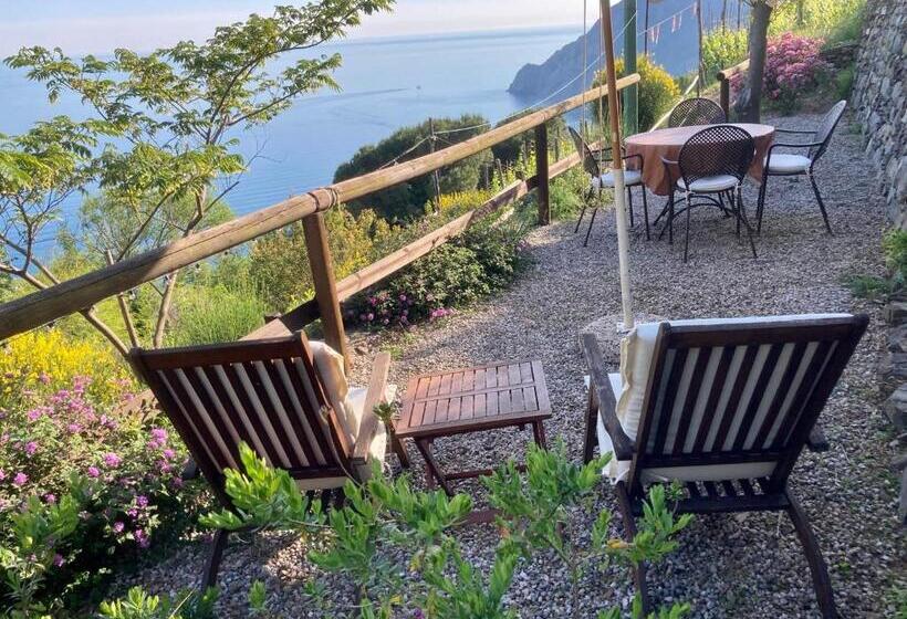 آپارتمان 1 خوابه با تراس, Villa Pietrafiore