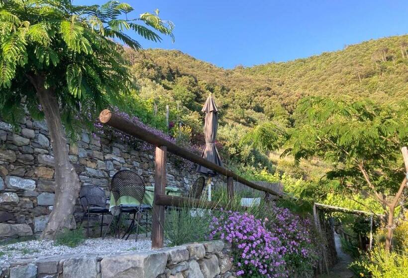 آپارتمان 1 خوابه با تراس, Villa Pietrafiore