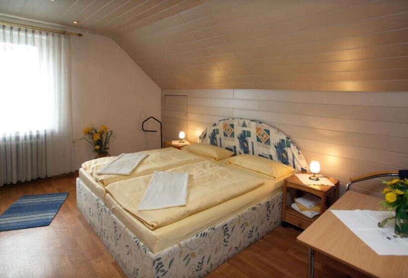 غرفة قياسية, Pension Waldau