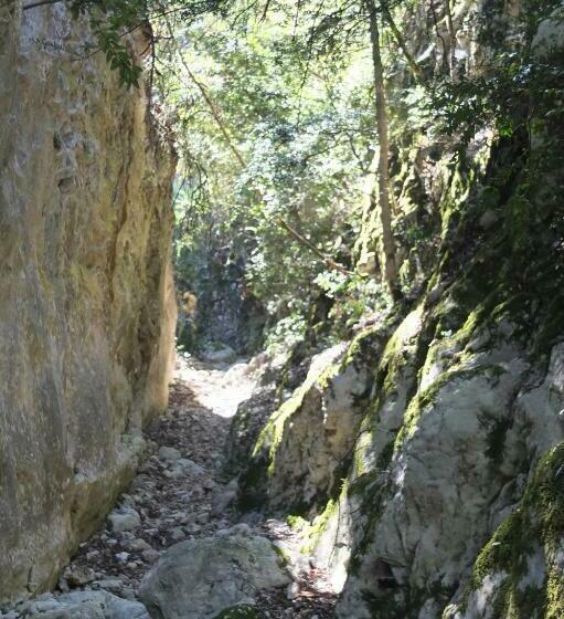 Номер Стандарт, Li Poulidetto