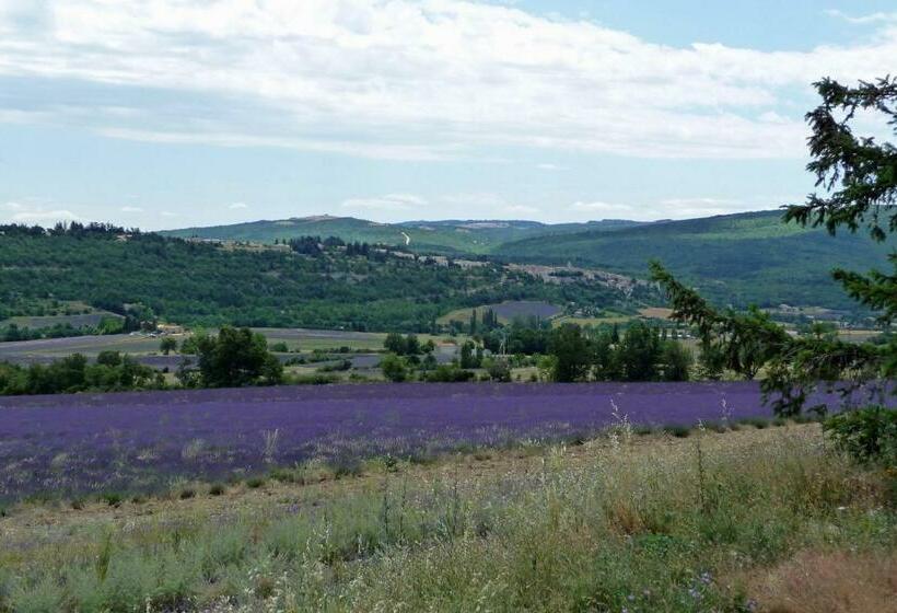 Номер Стандарт, Li Poulidetto
