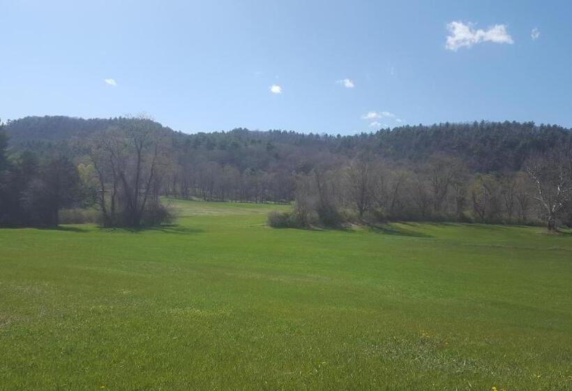 חדר סטנדרט, A Meadow House