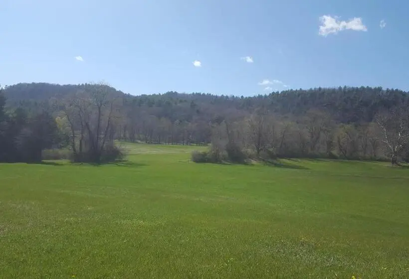 スタンダードルーム, A Meadow House