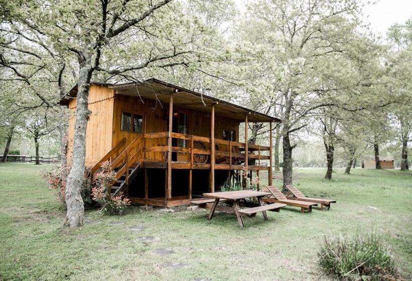 בקתת חדר, Le Ranch Amadeus