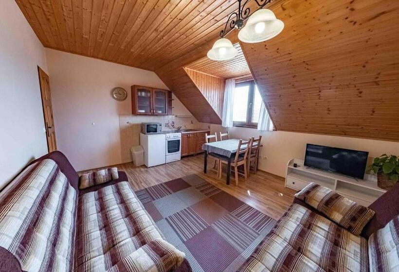 침실 1개 전망 아파트, Apartmány V Müllerovom Dome