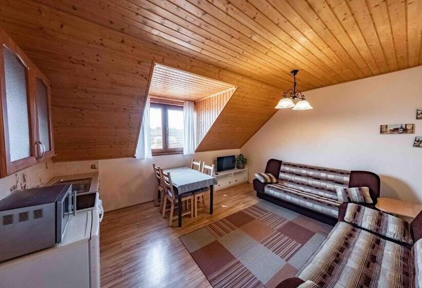 شقة غرفة واحدة ذات إطلالة, Apartmány V Müllerovom Dome