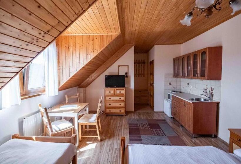 스탠다드 스튜디오 (전망), Apartmány V Müllerovom Dome