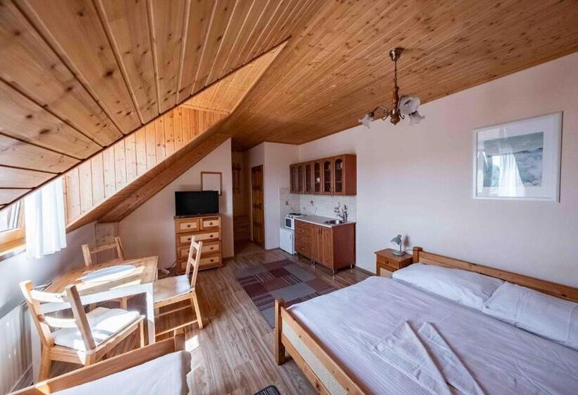 إستوديو قياسى ذو إطلالة, Apartmány V Müllerovom Dome