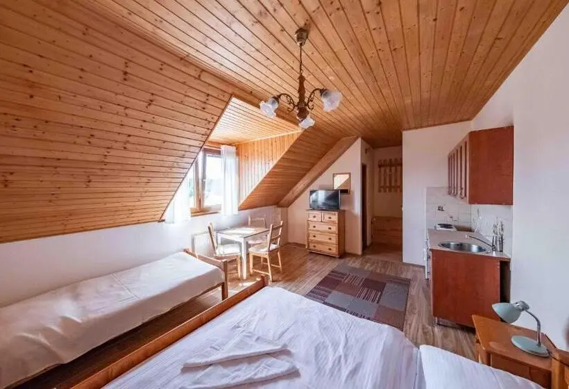 ビュー有りのスタンダードワンルーム, Apartmány V Müllerovom Dome