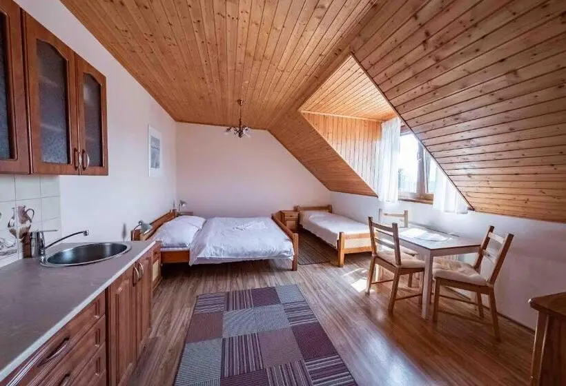 ビュー有りのスタンダードワンルーム, Apartmány V Müllerovom Dome