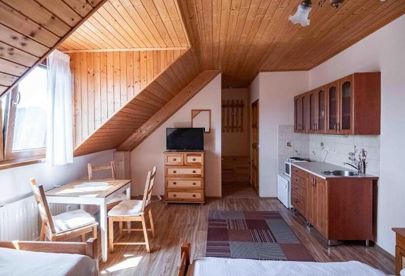 إستوديو قياسى ذو إطلالة, Apartmány V Müllerovom Dome