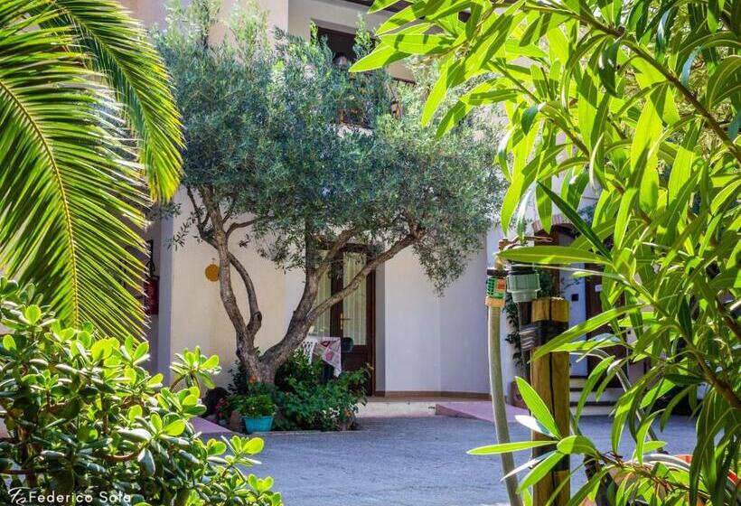 דירת חדר, Su Pranu