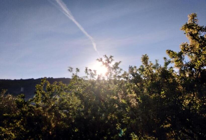 דירת שני חדרים, Su Pranu