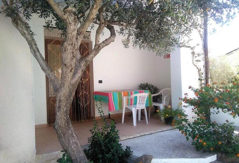 דירת שני חדרים, Su Pranu