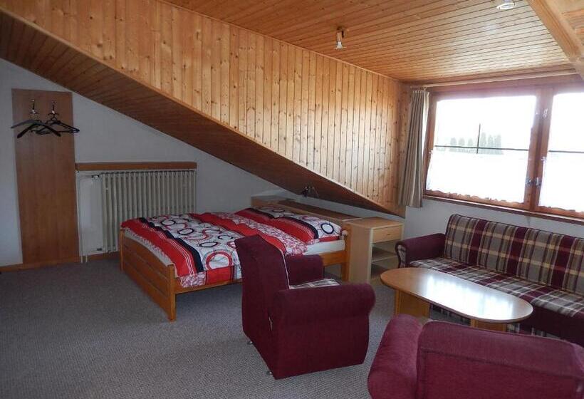 استودیو استاندارد با چشم‌انداز کوهستان, Vila Mirka