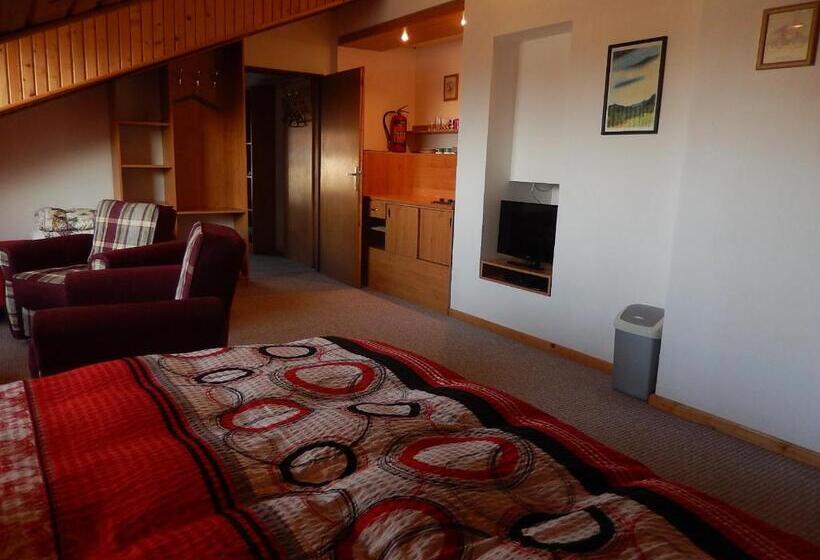 استودیو استاندارد با چشم‌انداز کوهستان, Vila Mirka