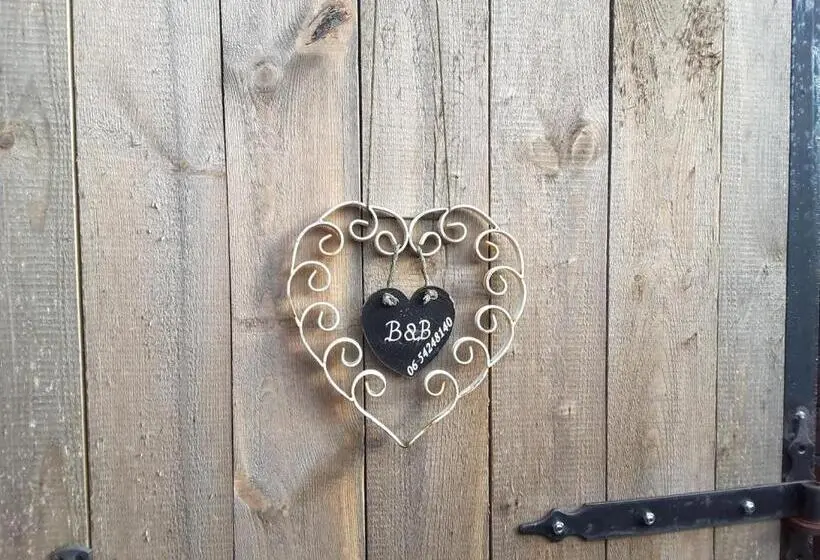 デラックススタジオ, B&b In De Dorpsstraat