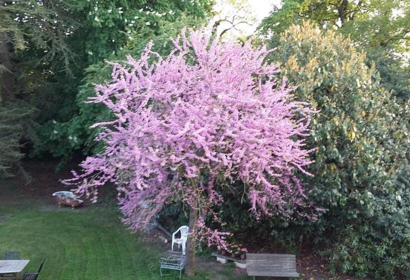 スタンダードトリプルルームの外観-バスルーム, Les Hôtes Du Prieuré