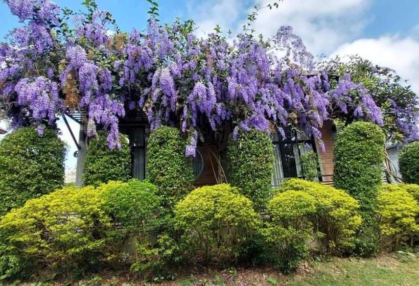 キングサイズベッドのスタンダードルーム, Casa Foresta Nan