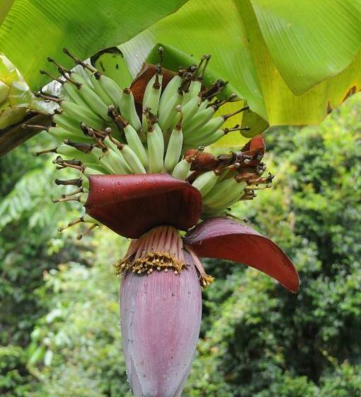 Дом 3 Спальни, Wildwood