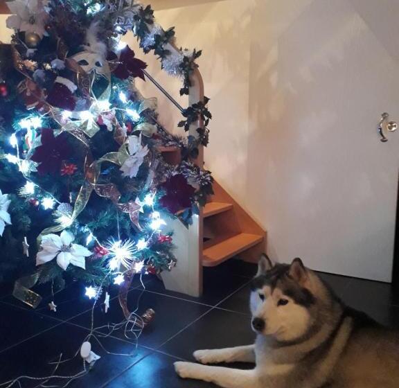 스탠다드 룸 가든 전망, Guest House Domaine Des Grouilleres