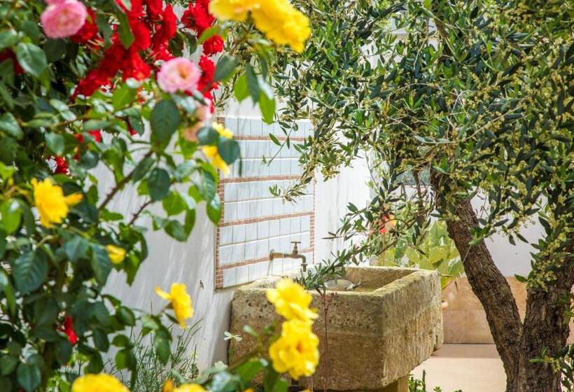 חדר סטנדרט לשלושה, Biancolino