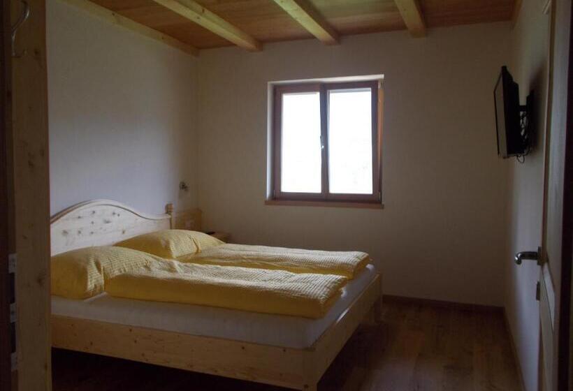 带1个卧室带观景的公寓, Pichlerhof